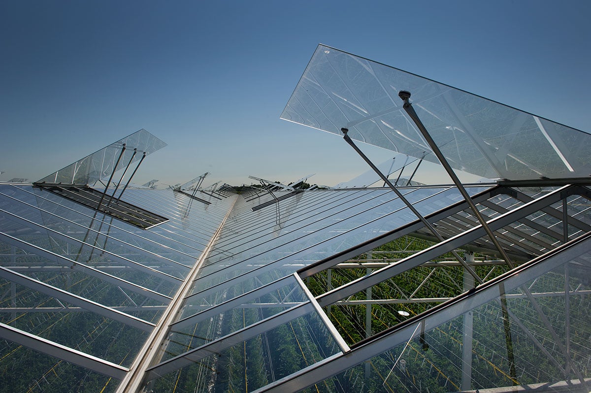 The image shows a close-up view of a series of glass windows in a grid-like pattern. Each window is connected to a metal structure. The sky is visible in the background, indicating that the photo was taken outdoors during the day.