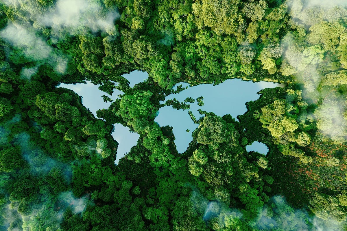 An aerial photograph of a forested area with a distinctive clearing in the middle. The clearing is surrounded by dense greenery, with a shallow body of water that is a different shade of blue. The photo is taken from a high angle, giving a bird's-eye view of the landscape.