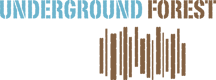 The image displays text that reads 